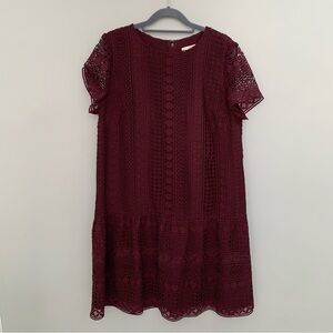 LOFT maroon lace short‎ sleeve knee length casual career dress